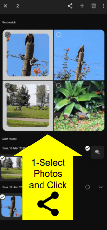 How to share photos from Google Photos